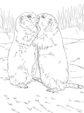 Kissing Prairie Dogs Coloring Page